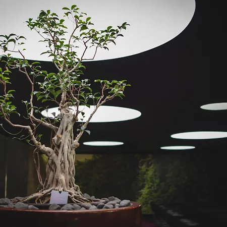 里斯本丰塔纳公园希尔顿逸林酒店 4* Lisboa