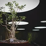 Doubletree By Hilton Fontana Park 4* ליסבון